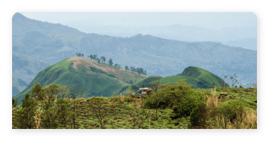 Bild Panorama