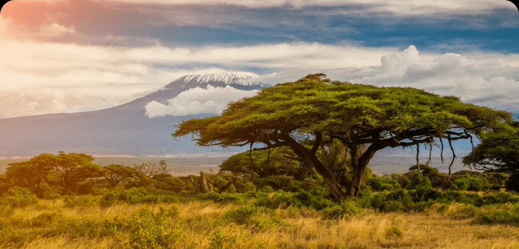 Kaffeeland Kenya